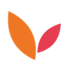 red and orange leaf red and orange leaf